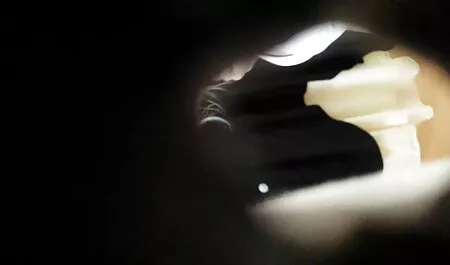 शुद्धता और सेक्सी मूवी हिंदी पोर्श