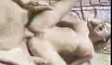 हॉट सेक्सी मूवी एचडी हिंदी युवा ब्रिटिश लड़की